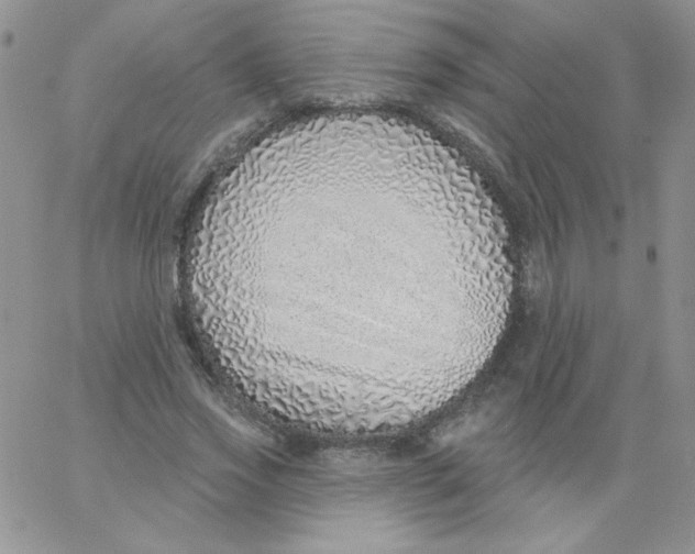 X0000062910733200602031856