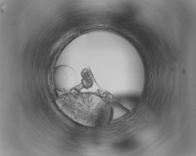 X0000062910734200602031856