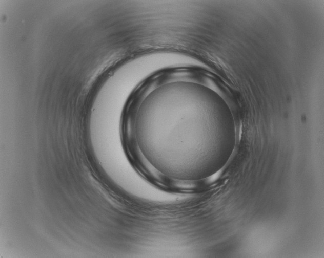 X0000062910735200602031856