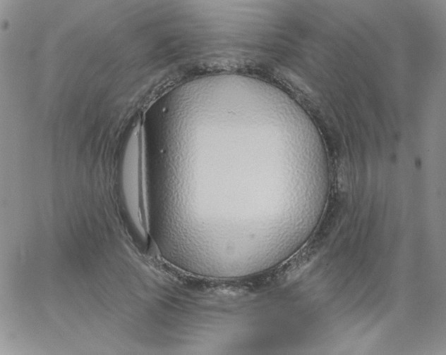 X0000062910737200602031856