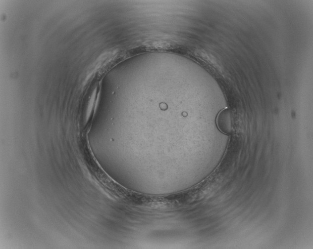 X0000062910738200602031856