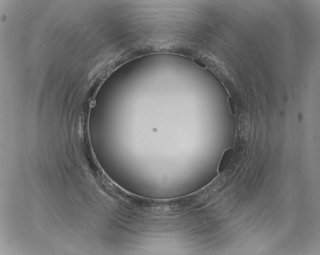 X0000062910740200602031856