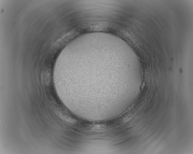 X0000062910741200602031856