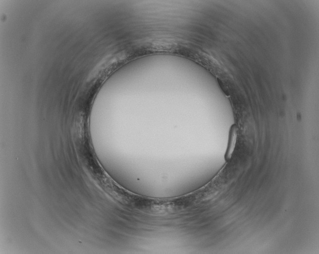 X0000062910744200602031856