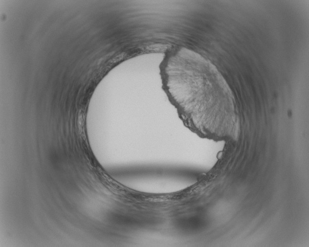 X0000062910745200602031856