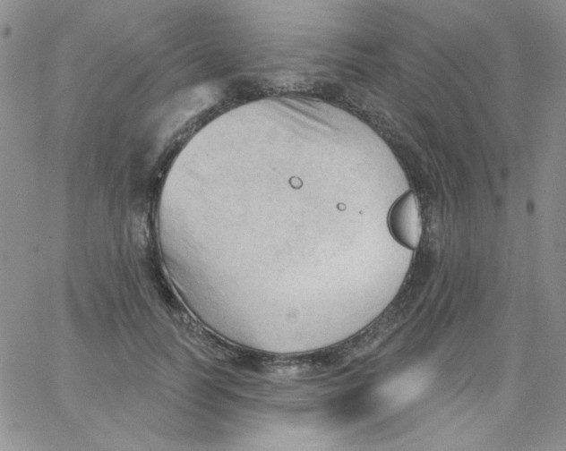 X0000062910746200602031856