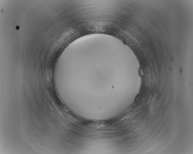 X0000062910747200602031856