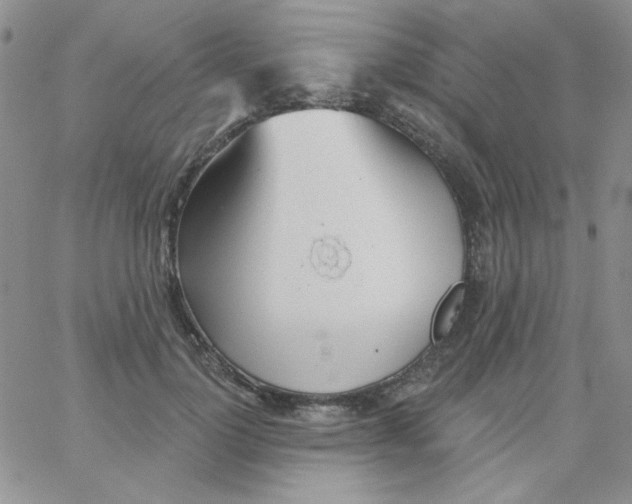 X0000062910748200602031856