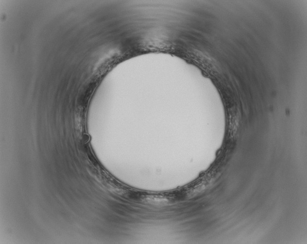 X0000062910749200602031856