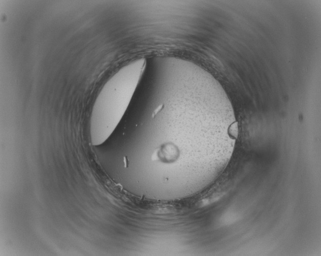 X0000062910750200602031856