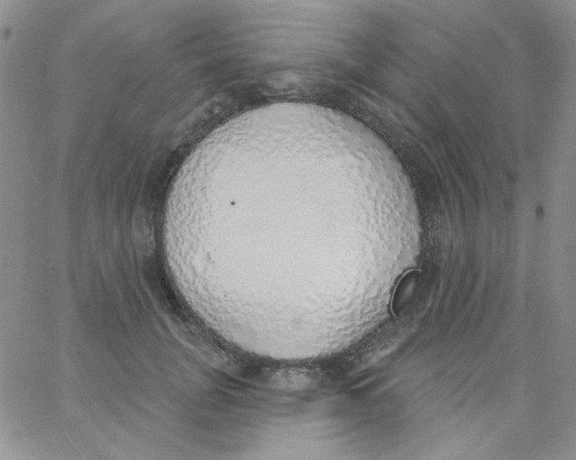 X0000062910751200602031856