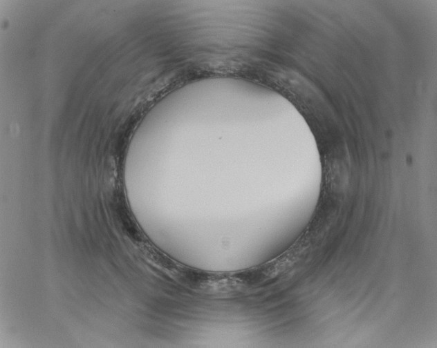 X0000062910752200602031856