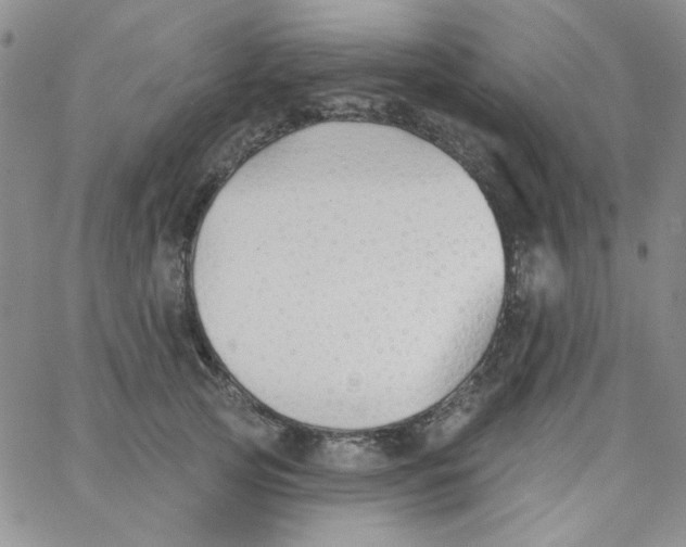 X0000062910753200602031856