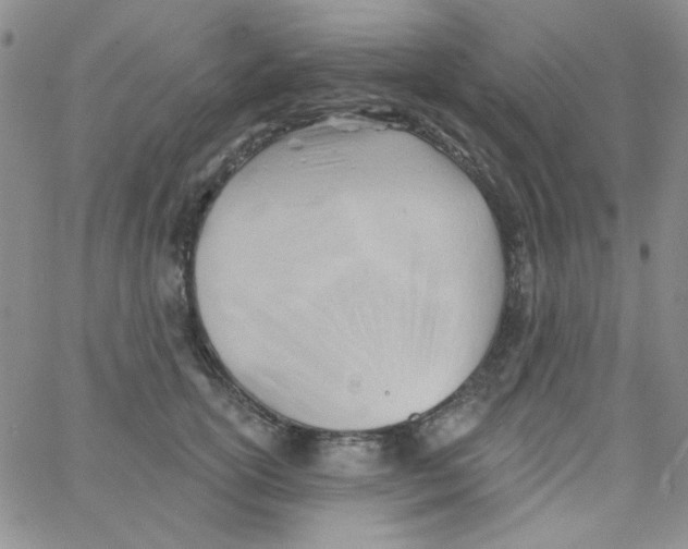 X0000062910754200602031856