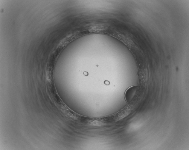 X0000062910755200602031857