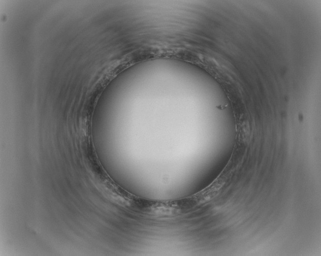 X0000062910756200602031857