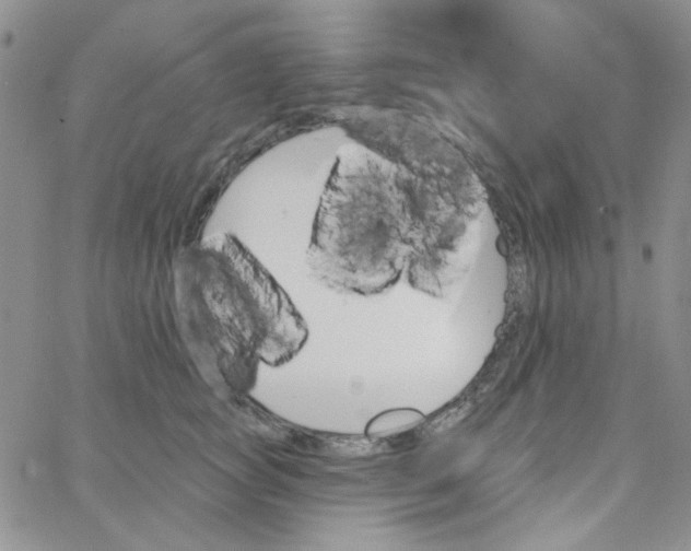 X0000062910757200602031857