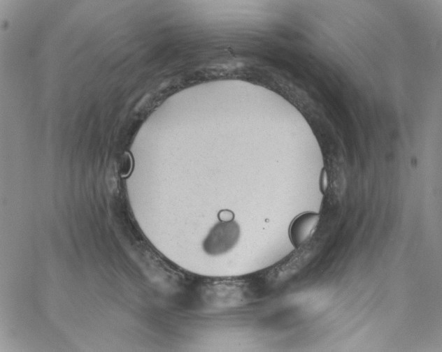 X0000062910758200602031857