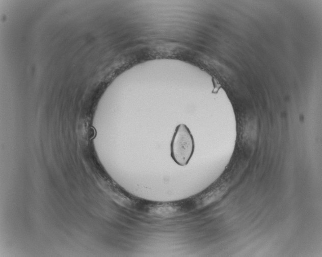 X0000062910759200602031857