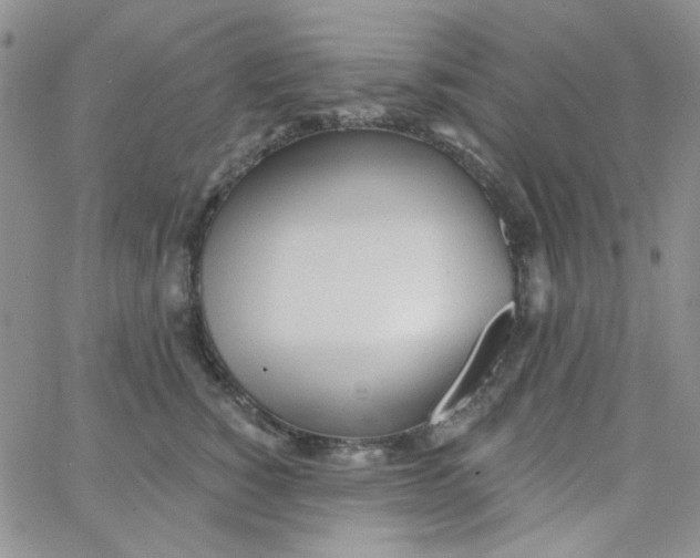 X0000062910760200602031857