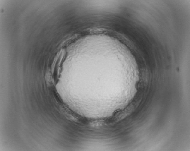 X0000062910761200602031857