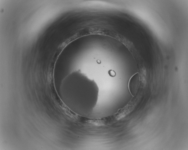 X0000062910763200602031857