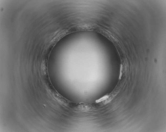 X0000062910764200602031857