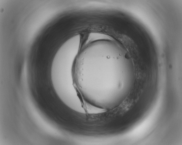 X0000062910765200602031857