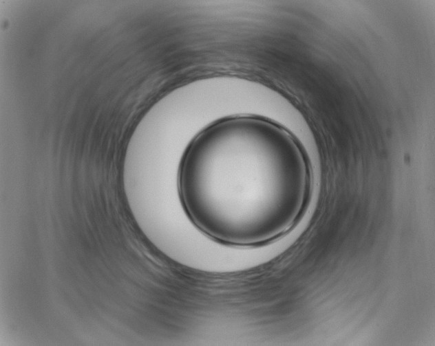 X0000062910766200602031857