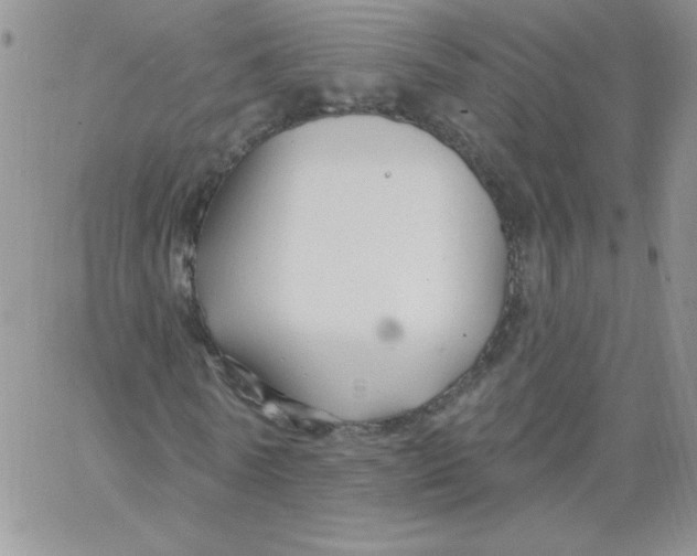 X0000062910770200602031856