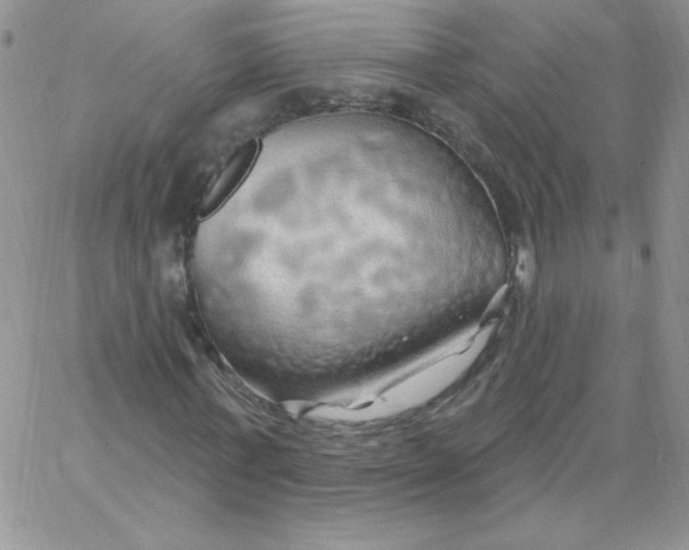 X0000062910771200602031856