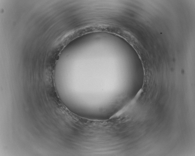 X0000062910773200602031856