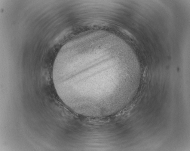 X0000062910774200602031856