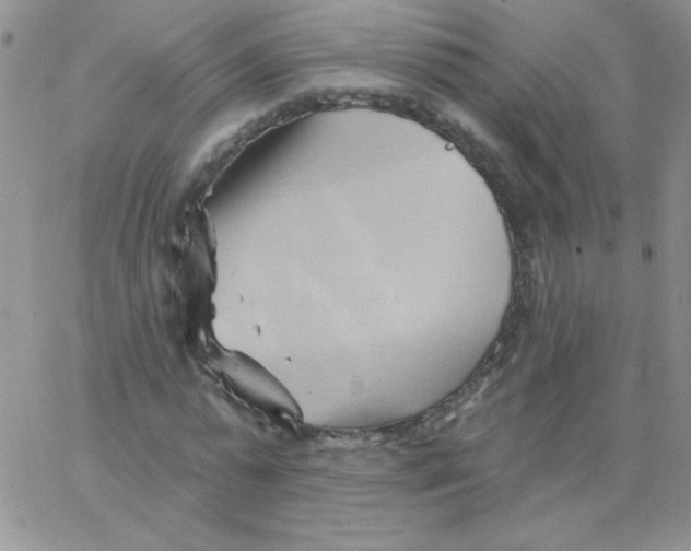 X0000062910775200602031856