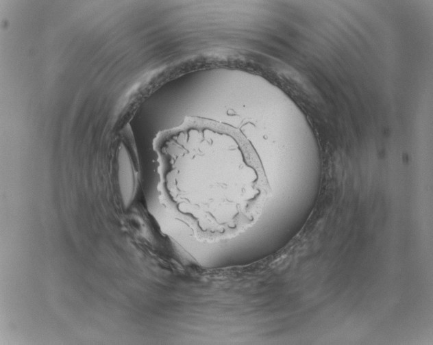 X0000062910776200602031856