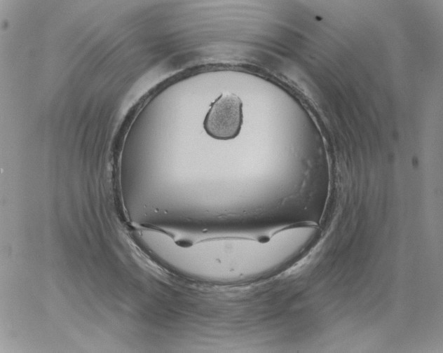 X0000062910779200602031856