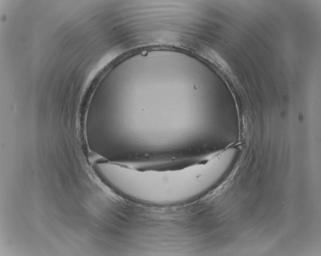 X0000062910780200602031856