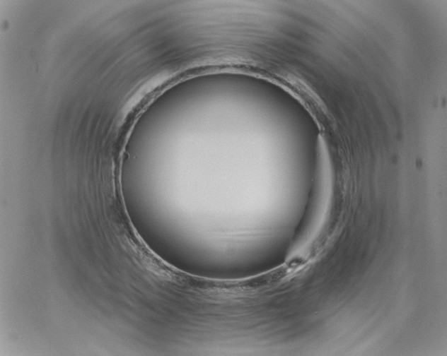 X0000062910781200602031856