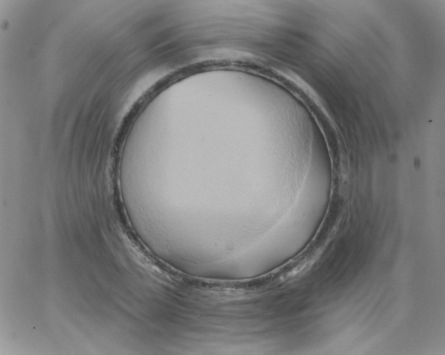 X0000062910783200602031856