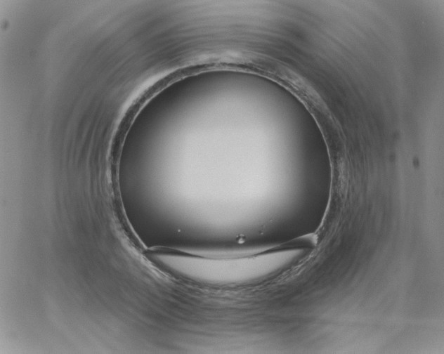 X0000062910784200602031856