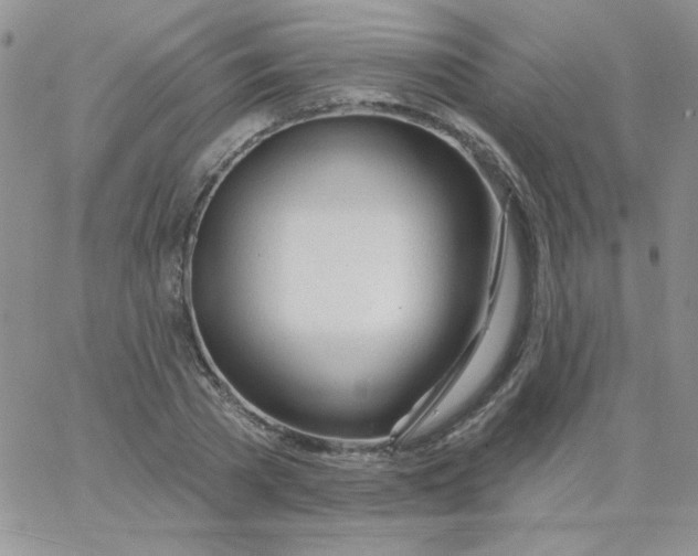 X0000062910785200602031856