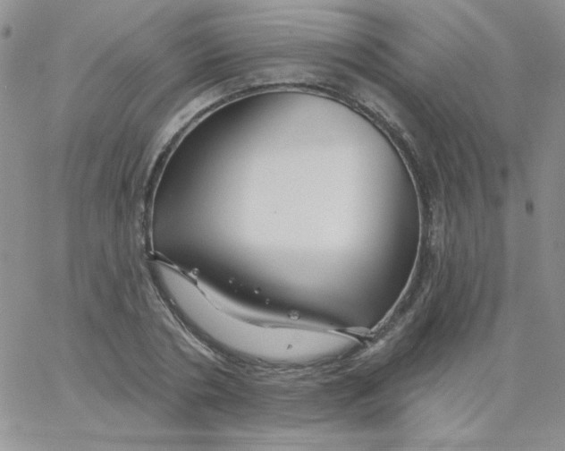 X0000062910786200602031856