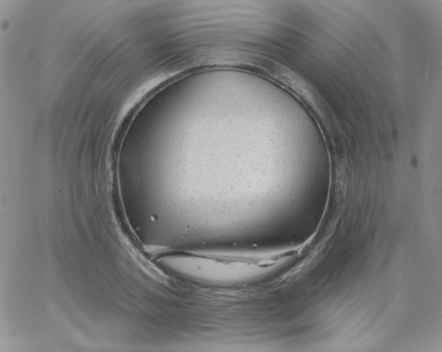 X0000062910787200602031856