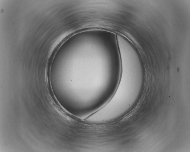 X0000062910788200602031856