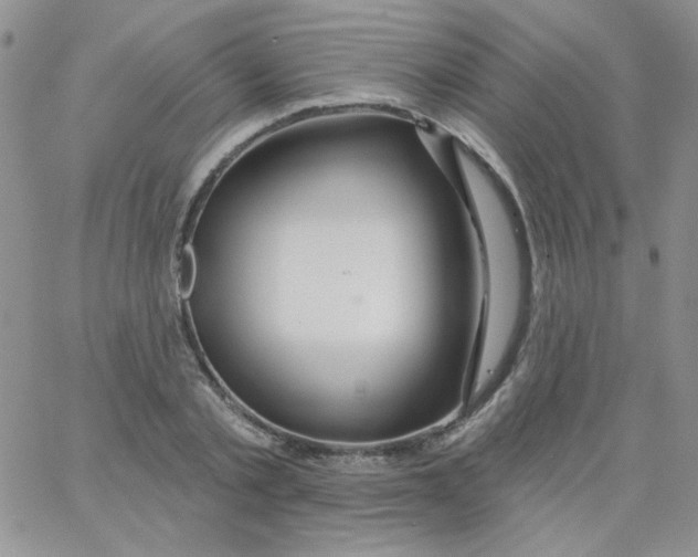 X0000062910789200602031856