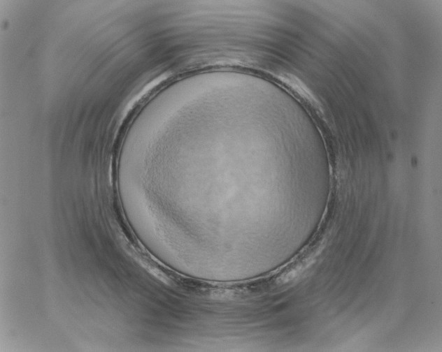 X0000062910790200602031856