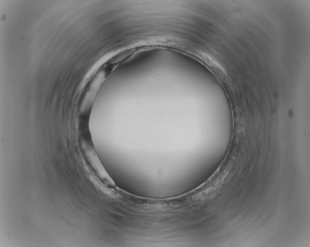 X0000062910792200602031856