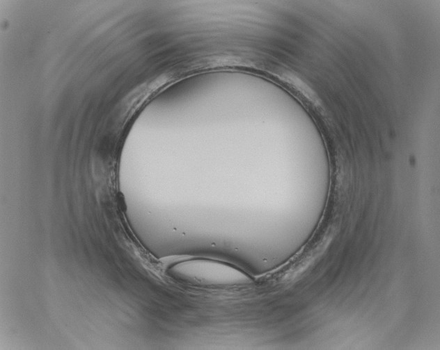 X0000062910793200602031856