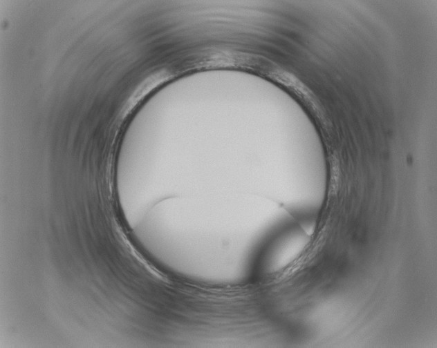 X0000062910794200602031856