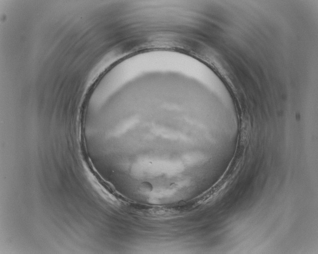 X0000062910795200602031856